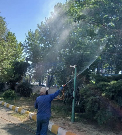 Spraying trees and roads in Alborz Industrial City